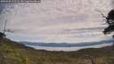 ./images/calvert/fitz-hugh-hecate/20250528/fitz-hugh-hecate20250528_112508M.jpg