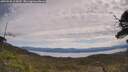 ./images/calvert/fitz-hugh-hecate/20250528/fitz-hugh-hecate20250528_113010M.jpg