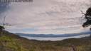 ./images/calvert/fitz-hugh-hecate/20250528/fitz-hugh-hecate20250528_113510M.jpg