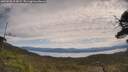 ./images/calvert/fitz-hugh-hecate/20250528/fitz-hugh-hecate20250528_114509M.jpg