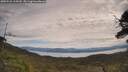 ./images/calvert/fitz-hugh-hecate/20250528/fitz-hugh-hecate20250528_115010M.jpg