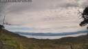 ./images/calvert/fitz-hugh-hecate/20250528/fitz-hugh-hecate20250528_115509M.jpg