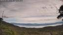 ./images/calvert/fitz-hugh-hecate/20250528/fitz-hugh-hecate20250528_121010M.jpg