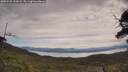 ./images/calvert/fitz-hugh-hecate/20250528/fitz-hugh-hecate20250528_122008M.jpg