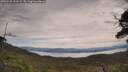 ./images/calvert/fitz-hugh-hecate/20250528/fitz-hugh-hecate20250528_122509M.jpg