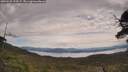 ./images/calvert/fitz-hugh-hecate/20250528/fitz-hugh-hecate20250528_123509M.jpg