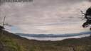 ./images/calvert/fitz-hugh-hecate/20250528/fitz-hugh-hecate20250528_124009M.jpg