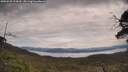 ./images/calvert/fitz-hugh-hecate/20250528/fitz-hugh-hecate20250528_124510M.jpg