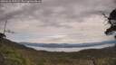 ./images/calvert/fitz-hugh-hecate/20250528/fitz-hugh-hecate20250528_125509M.jpg