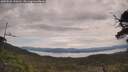 ./images/calvert/fitz-hugh-hecate/20250528/fitz-hugh-hecate20250528_130012M.jpg