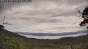 ./images/calvert/fitz-hugh-hecate/20250528/fitz-hugh-hecate20250528_130509M.jpg