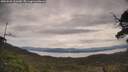 ./images/calvert/fitz-hugh-hecate/20250528/fitz-hugh-hecate20250528_131009M.jpg