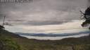 ./images/calvert/fitz-hugh-hecate/20250528/fitz-hugh-hecate20250528_132009M.jpg