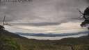 ./images/calvert/fitz-hugh-hecate/20250528/fitz-hugh-hecate20250528_132509M.jpg