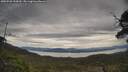 ./images/calvert/fitz-hugh-hecate/20250528/fitz-hugh-hecate20250528_133010M.jpg