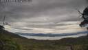 ./images/calvert/fitz-hugh-hecate/20250528/fitz-hugh-hecate20250528_133510M.jpg