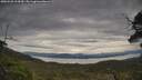 ./images/calvert/fitz-hugh-hecate/20250528/fitz-hugh-hecate20250528_134509M.jpg