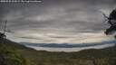 ./images/calvert/fitz-hugh-hecate/20250528/fitz-hugh-hecate20250528_135010M.jpg