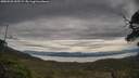./images/calvert/fitz-hugh-hecate/20250528/fitz-hugh-hecate20250528_135509M.jpg