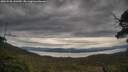 ./images/calvert/fitz-hugh-hecate/20250528/fitz-hugh-hecate20250528_141010M.jpg