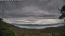 ./images/calvert/fitz-hugh-hecate/20250528/fitz-hugh-hecate20250528_142009M.jpg