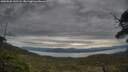 ./images/calvert/fitz-hugh-hecate/20250528/fitz-hugh-hecate20250528_143506M.jpg