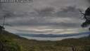 ./images/calvert/fitz-hugh-hecate/20250528/fitz-hugh-hecate20250528_144510M.jpg