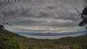 ./images/calvert/fitz-hugh-hecate/20250528/fitz-hugh-hecate20250528_145009M.jpg