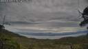 ./images/calvert/fitz-hugh-hecate/20250528/fitz-hugh-hecate20250528_145509M.jpg