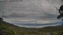 ./images/calvert/fitz-hugh-hecate/20250528/fitz-hugh-hecate20250528_150010M.jpg