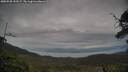 ./images/calvert/fitz-hugh-hecate/20250528/fitz-hugh-hecate20250528_151007M.jpg