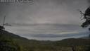 ./images/calvert/fitz-hugh-hecate/20250528/fitz-hugh-hecate20250528_151509M.jpg