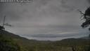 ./images/calvert/fitz-hugh-hecate/20250528/fitz-hugh-hecate20250528_152509M.jpg