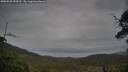 ./images/calvert/fitz-hugh-hecate/20250528/fitz-hugh-hecate20250528_153510M.jpg