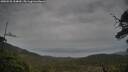 ./images/calvert/fitz-hugh-hecate/20250528/fitz-hugh-hecate20250528_154010M.jpg
