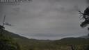 ./images/calvert/fitz-hugh-hecate/20250528/fitz-hugh-hecate20250528_154510M.jpg