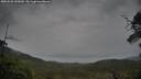 ./images/calvert/fitz-hugh-hecate/20250528/fitz-hugh-hecate20250528_155010M.jpg