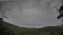 ./images/calvert/fitz-hugh-hecate/20250528/fitz-hugh-hecate20250528_155507M.jpg