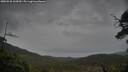 ./images/calvert/fitz-hugh-hecate/20250528/fitz-hugh-hecate20250528_160010M.jpg