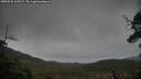 ./images/calvert/fitz-hugh-hecate/20250528/fitz-hugh-hecate20250528_160508M.jpg