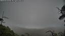 ./images/calvert/fitz-hugh-hecate/20250528/fitz-hugh-hecate20250528_161510M.jpg