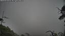 ./images/calvert/fitz-hugh-hecate/20250528/fitz-hugh-hecate20250528_162507M.jpg