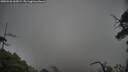 ./images/calvert/fitz-hugh-hecate/20250528/fitz-hugh-hecate20250528_163009M.jpg