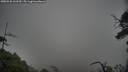./images/calvert/fitz-hugh-hecate/20250528/fitz-hugh-hecate20250528_163510M.jpg