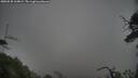 ./images/calvert/fitz-hugh-hecate/20250528/fitz-hugh-hecate20250528_164008M.jpg