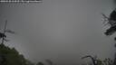 ./images/calvert/fitz-hugh-hecate/20250528/fitz-hugh-hecate20250528_164510M.jpg