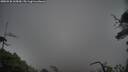 ./images/calvert/fitz-hugh-hecate/20250528/fitz-hugh-hecate20250528_165010M.jpg