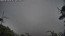 ./images/calvert/fitz-hugh-hecate/20250528/fitz-hugh-hecate20250528_165509M.jpg