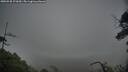 ./images/calvert/fitz-hugh-hecate/20250528/fitz-hugh-hecate20250528_171010M.jpg