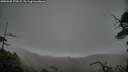 ./images/calvert/fitz-hugh-hecate/20250528/fitz-hugh-hecate20250528_172009M.jpg